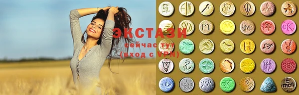 крисы Гусев