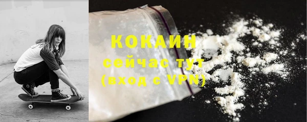 крисы Гусев