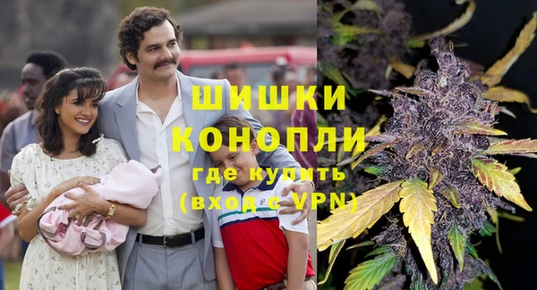 крисы Гусев