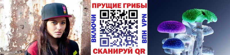 Галлюциногенные грибы прущие грибы  Починок 