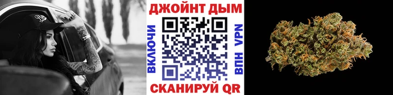 Конопля гибрид Починок